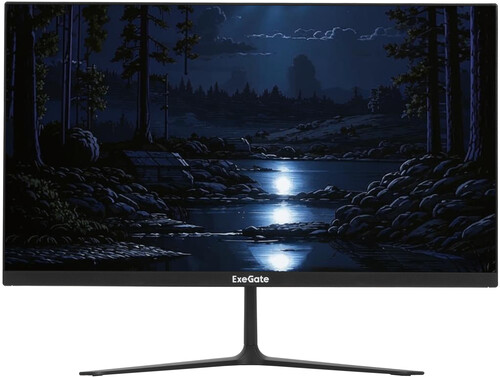 Купить 21.5" Монитор ExeGate ProSmart EV2207 черный  9179623. Характеристики, отзывы и цены в Донецке