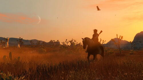 Купить Игра Red Dead Redemption (Switch)  5434785. Характеристики, отзывы и цены в Донецке