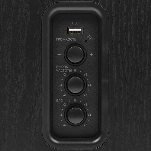 Купить Колонки Fiero BHS-200 черный  5049304. Характеристики, отзывы и цены в Донецке