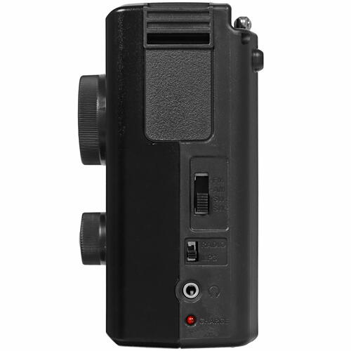 Купить Радиоприемник Ritmix RPR-195 черный  4806937. Характеристики, отзывы и цены в Донецке