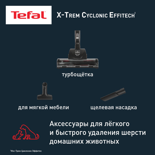 Купить Пылесос Tefal X-Trem Cyclonic Effitech TW7C71EA черный  9267009. Характеристики, отзывы и цены в Донецке