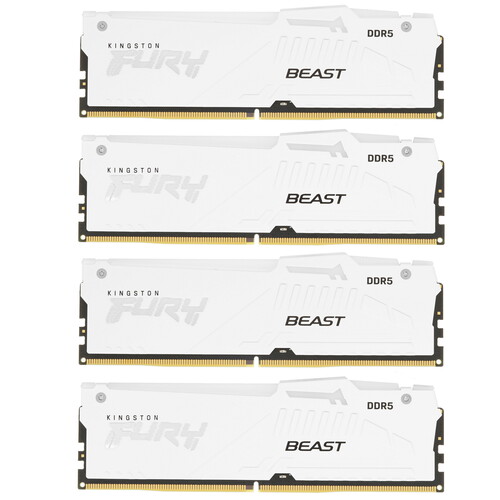 Купить Оперативная память Kingston FURY Beast White RGB [KF560C40BWAK4-64] 64 ГБ  5436450. Характеристики, отзывы и цены в Донецке