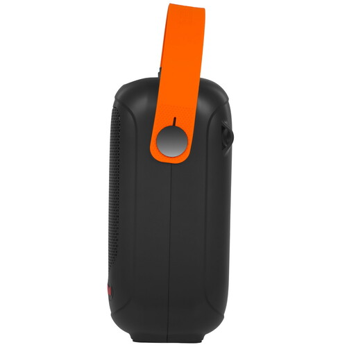 Купить Портативная аудиосистема MONSTER MFS 1, черный  9272367. Характеристики, отзывы и цены в Донецке