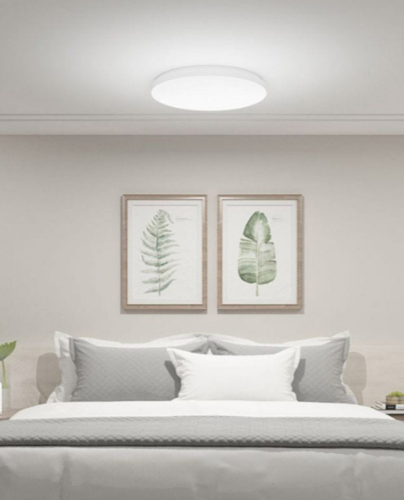Купить Светильник потолочный Xiaomi Mi Smart LED Ceiling Light MJXDD01SYL белый/белый  4794517. Характеристики, отзывы и цены в Донецке