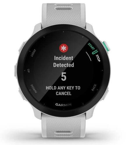 Купить Спортивные часы Garmin Forerunner 55  5407834. Характеристики, отзывы и цены в Донецке