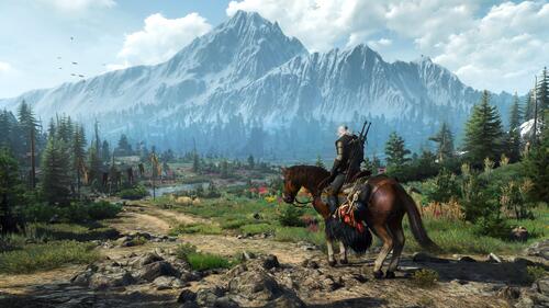 Купить Игра The Witcher 3: Wild Hunt (Switch)  5091505. Характеристики, отзывы и цены в Донецке