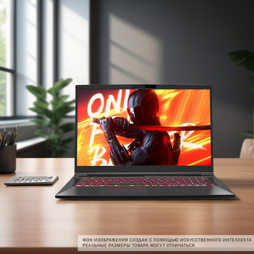 Купить 17.3" Ноутбук MAIBENBEN X17A черный  5483622. Характеристики, отзывы и цены в Донецке