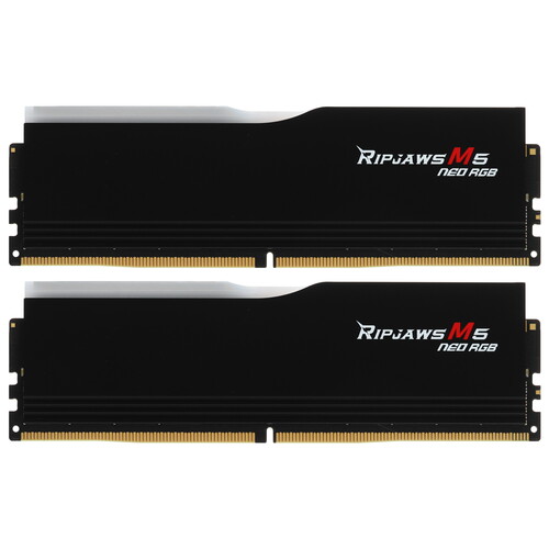 Купить Оперативная память G.Skill RIPJAWS M5 NEO [F5-6000J3036F48GX2-RM5NRK] 96 ГБ  5616355. Характеристики, отзывы и цены в Донецке