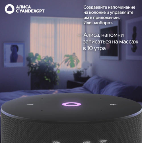 Купить Умная колонка Яндекс Станция Мини 3 черный  5499301. Характеристики, отзывы и цены в Донецке