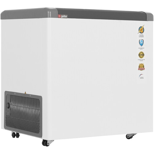 Купить Морозильный ларь Frostor Gellar FG 250 C белый, серый  1229572. Характеристики, отзывы и цены в Донецке