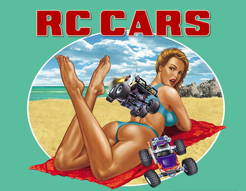 Купить Игра RC Cars (Steam)  5608536. Характеристики, отзывы и цены в Донецке