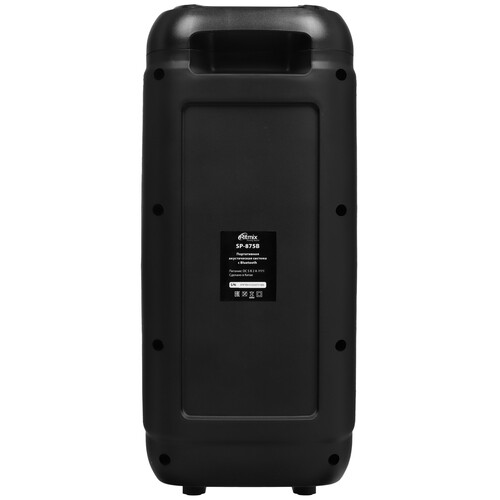 Купить Портативная колонка Ritmix SP-875B, черный  9201038. Характеристики, отзывы и цены в Донецке