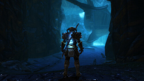 Купить Игра Kingdoms of Amalur: Re-Reckoning (Steam)  5484508. Характеристики, отзывы и цены в Донецке