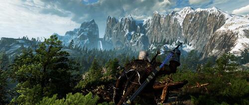 Купить Игра The Witcher 3: Wild Hunt (Switch)  1393472. Характеристики, отзывы и цены в Донецке