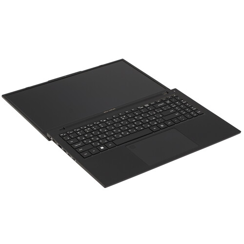 Купить 15.6" Ноутбук Rikor NINO 203.1 черный  5633455. Характеристики, отзывы и цены в Донецке
