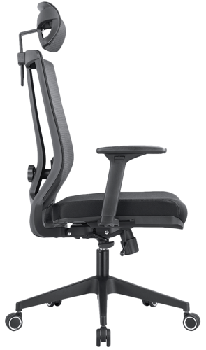 Купить Кресло офисное Evolution ERGO BLISS черный  9071471. Характеристики, отзывы и цены в Донецке