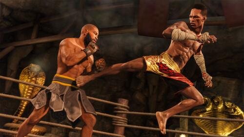 Купить Игра EA Sports UFC 4 (PS4)  1685860. Характеристики, отзывы и цены в Донецке