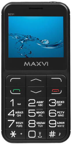 Купить Сотовый телефон Maxvi B231 черный  9936253. Характеристики, отзывы и цены в Донецке
