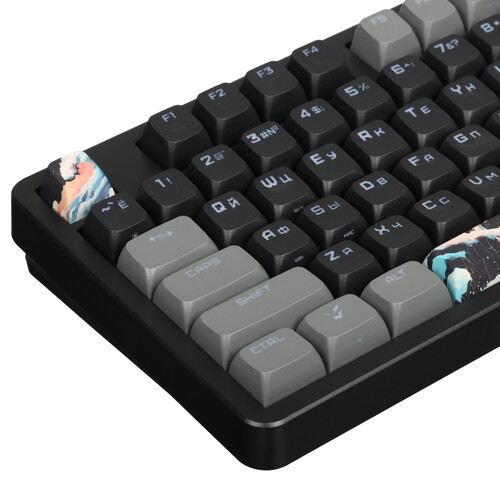 Купить Клавиатура  проводная ARDOR GAMING Otohime  9231731. Характеристики, отзывы и цены в Донецке