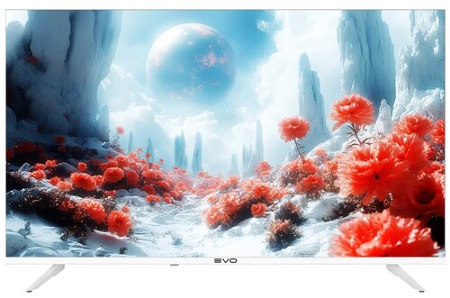 Купить 43" (109 см) Телевизор EVO TV 43 белый  5607184. Характеристики, отзывы и цены в Донецке