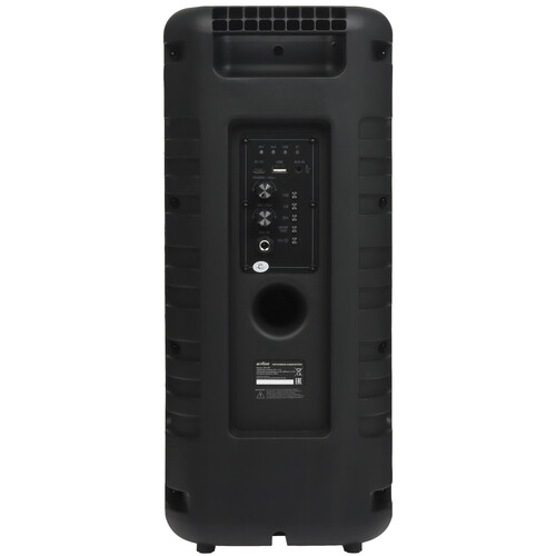 Купить Портативная аудиосистема Aceline APA-100, черный  9266823. Характеристики, отзывы и цены в Донецке