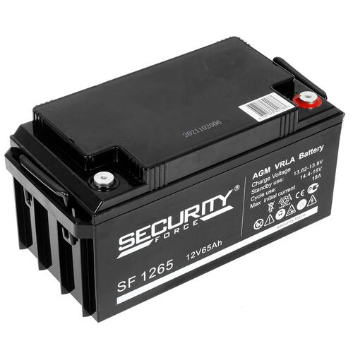 Купить Аккумуляторная батарея для ИБП SECURITY FORCE SF 1265  4896288. Характеристики, отзывы и цены в Донецке