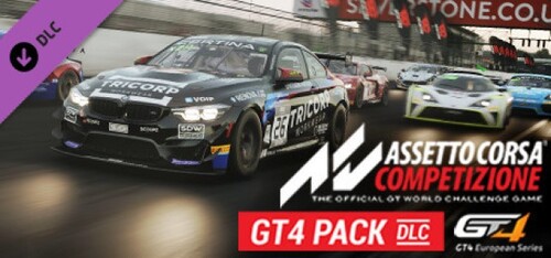 Купить Дополнение для игры Assetto Corsa Competizione - GT4 Pack (Steam)  5622280. Характеристики, отзывы и цены в Донецке