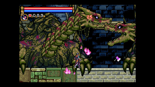 Купить Игра Castlevania Advance Collection (Steam)  5613889. Характеристики, отзывы и цены в Донецке