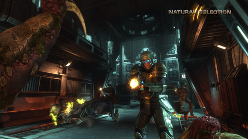 Купить Игра Natural Selection 2 (Steam)  5601569. Характеристики, отзывы и цены в Донецке