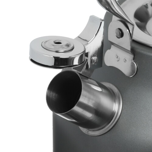 Купить Чайник для плиты Regent inox TEA 93-TEA-49 серый  5464013. Характеристики, отзывы и цены в Донецке