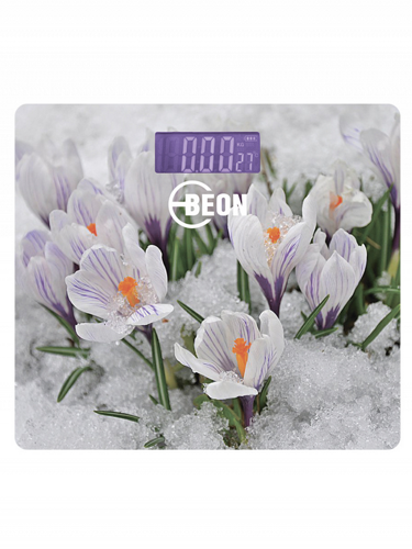 Купить Весы BEON BN-1122 разноцветный  9085255. Характеристики, отзывы и цены в Донецке
