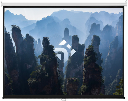Купить 100" Экран для проектора DEXP WM-100  5406738. Характеристики, отзывы и цены в Донецке