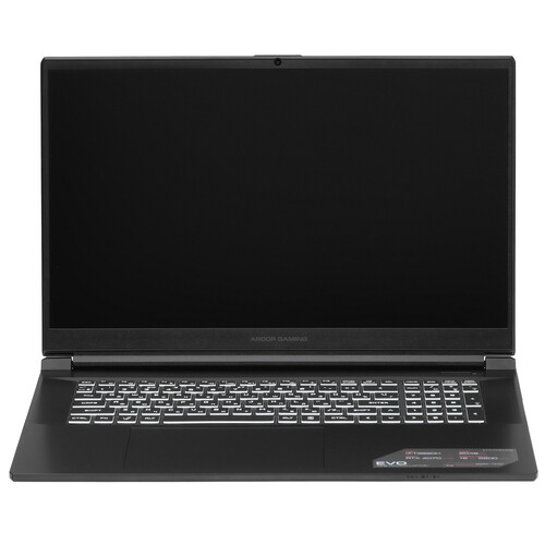 Купить 17.3" Ноутбук ARDOR Gaming EVO E17-I7ND402 черный  9083821. Характеристики, отзывы и цены в Донецке