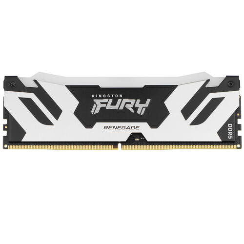 Купить Оперативная память Kingston FURY Renegade Silver RGB [KF572C38RSA-16] 16 ГБ  5090201. Характеристики, отзывы и цены в Донецке