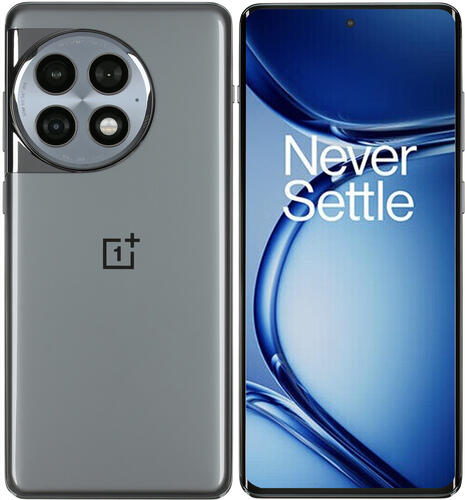 Купить 6.74" Смартфон OnePlus Ace 2 Pro 256 ГБ серый  5430155. Характеристики, отзывы и цены в Донецке