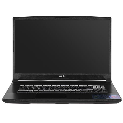 Купить 17.3" Ноутбук MSI Katana 17 B12VFK-273RU черный  5094203. Характеристики, отзывы и цены в Донецке