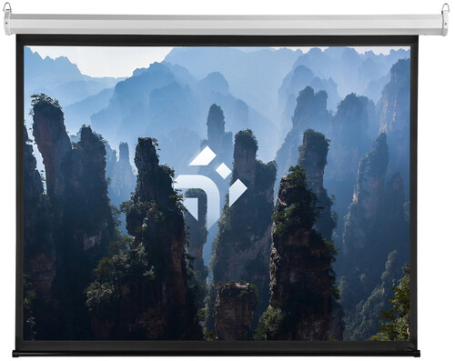 Купить 100" Экран для проектора DEXP WME-100  9035740. Характеристики, отзывы и цены в Донецке