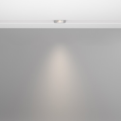 Купить Светильник трековый Maytoni TR100-2-2W4K-S-W  9169768. Характеристики, отзывы и цены в Донецке