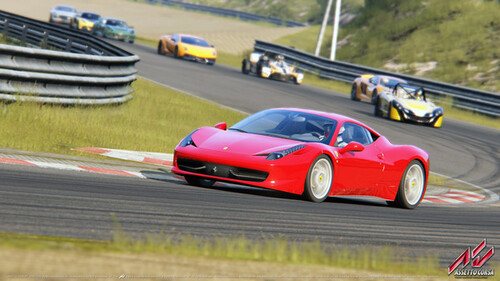Купить Игра Assetto Corsa (Steam)  5624977. Характеристики, отзывы и цены в Донецке