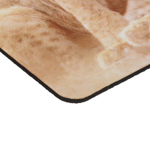 Купить Коврик SONNEN "LIONS"  разноцветный  9213046. Характеристики, отзывы и цены в Донецке