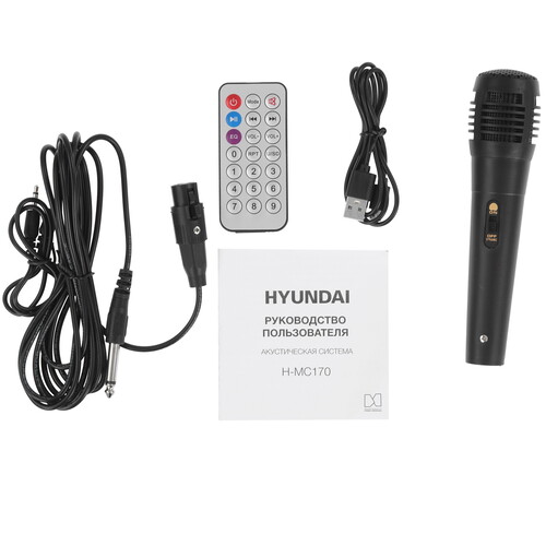 Купить Портативная аудиосистема Hyundai H-MC170, черный  5349137. Характеристики, отзывы и цены в Донецке
