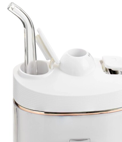 Купить Ирригатор Revyline RL 430 basic  9313431. Характеристики, отзывы и цены в Донецке