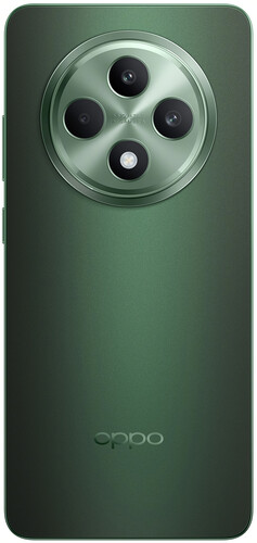 Купить 6.67" Смартфон OPPO Reno12 F 4G 256 ГБ зеленый  5475539. Характеристики, отзывы и цены в Донецке