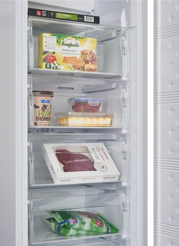 Купить Встраиваемый морозильный шкаф Scandilux FNBI350  9317933. Характеристики, отзывы и цены в Донецке