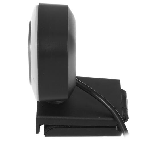Купить Веб-камера Ritmix RVC-220  5009795. Характеристики, отзывы и цены в Донецке