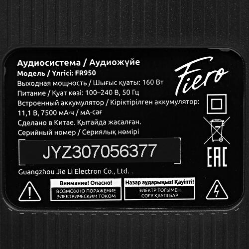 Купить Портативная аудиосистема Fiero Hope 100 FR950, черный  5099202. Характеристики, отзывы и цены в Донецке