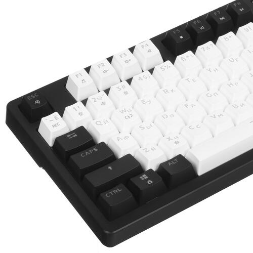 Купить Клавиатура  проводная DEXP Omni  5415990. Характеристики, отзывы и цены в Донецке