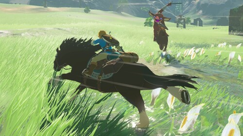 Купить Дополнение для игры The Legend of Zelda: Breath of the Wild - Expansion Pass (Switch)  4836970. Характеристики, отзывы и цены в Донецке