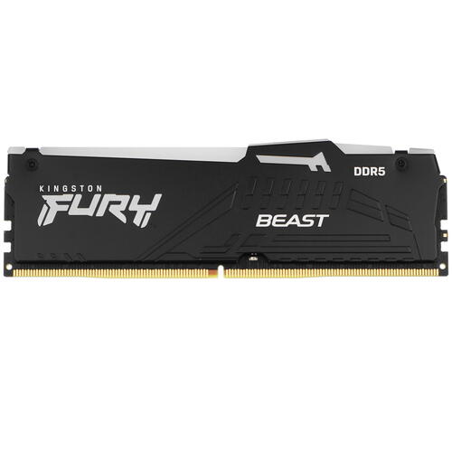 Купить Оперативная память Kingston FURY Beast Black AMD RGB [KF560C36BBEA-8] 8 ГБ  5093140. Характеристики, отзывы и цены в Донецке