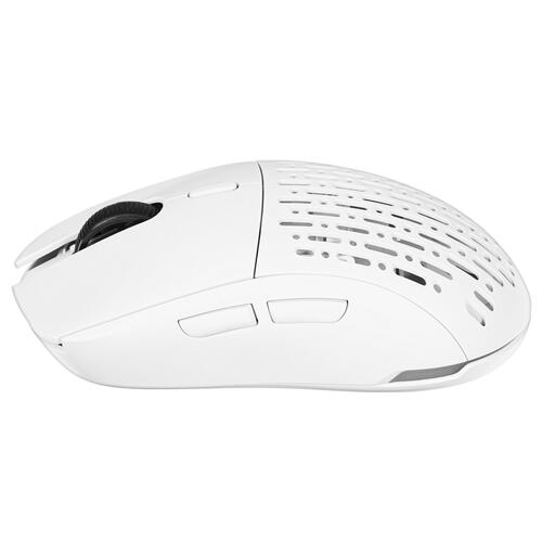 Купить Мышь беспроводная/проводная ARDOR GAMING Phantom  5060052. Характеристики, отзывы и цены в Донецке